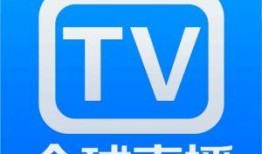 91电视直播猫,揭秘热门直播平台背后的精彩故事